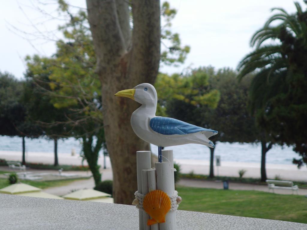 Lisa Apartmán Zadar
